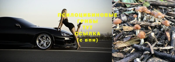 винт Богданович