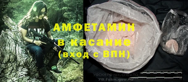 винт Богданович