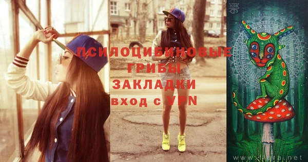 прущая мука Богородицк