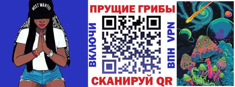 kraken ТОР Дальнегорск Галлюциногенные грибы Psilocybine cubensis